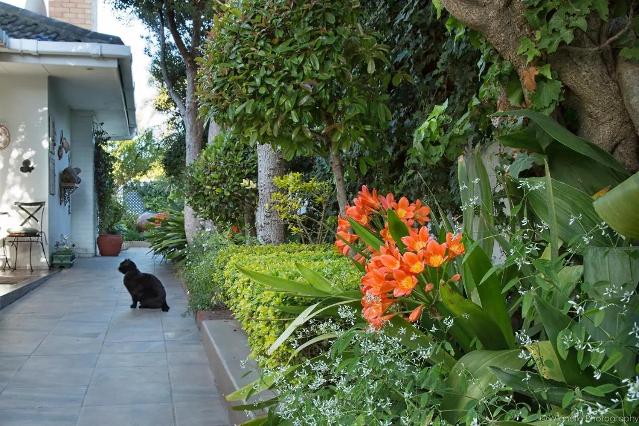 Bed and Breakfast Carslogie House Port Elizabeth